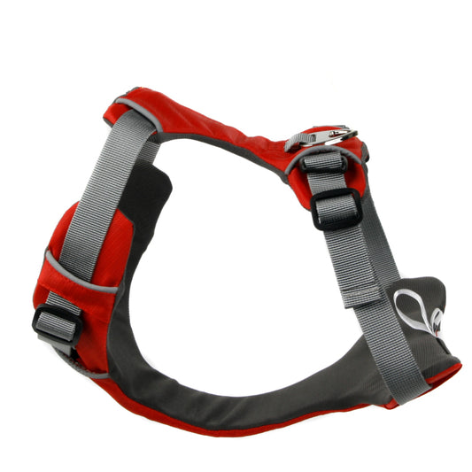 Padded Chest and Back No Pull Dog Harness