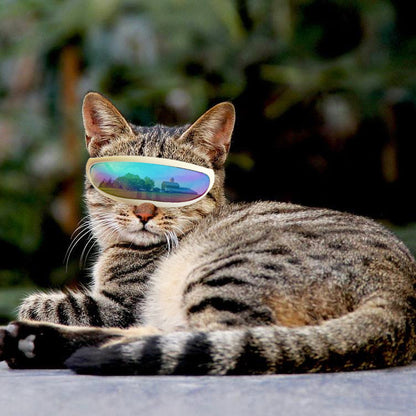 Dog or Cat Sunscreen UV Sunglasses - Charismatic Critters