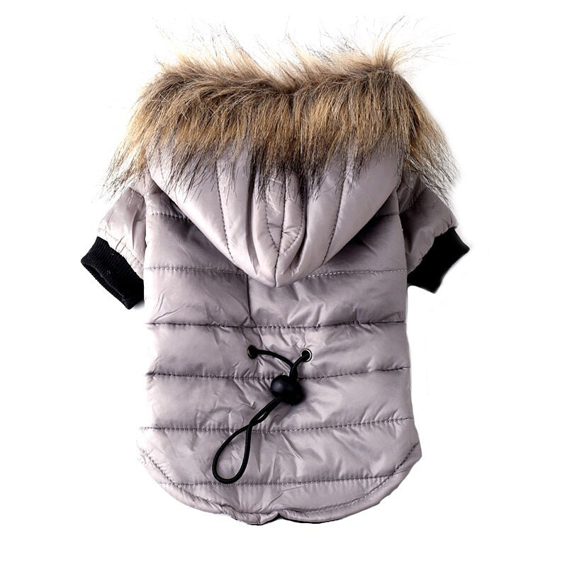Autumn And Winter Two Legged Jacket Small & Medium Dogs - Charismatic Critters