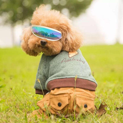 Dog or Cat Sunscreen UV Sunglasses - Charismatic Critters