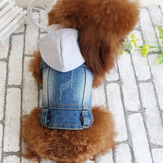 Designer Small Dog or Cat Frayed Denim Jacket Pet Apparel - Charismatic Critters