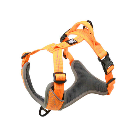 SafeStride No Pull Reflective Dog Harness with Handle, Charismatic Critters