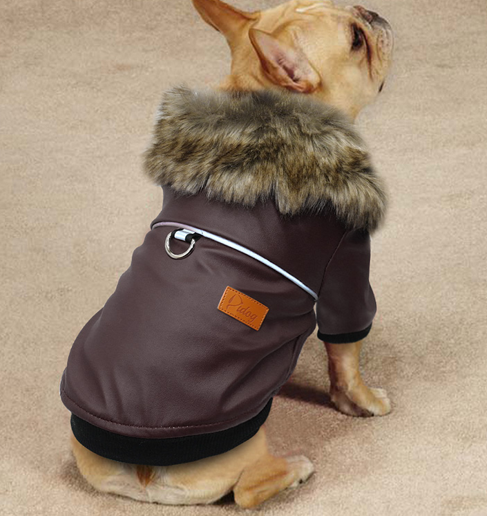 Designer Dog 2 Legged Faux-Leather Jacket with Fur Collar - Charismatic Critters