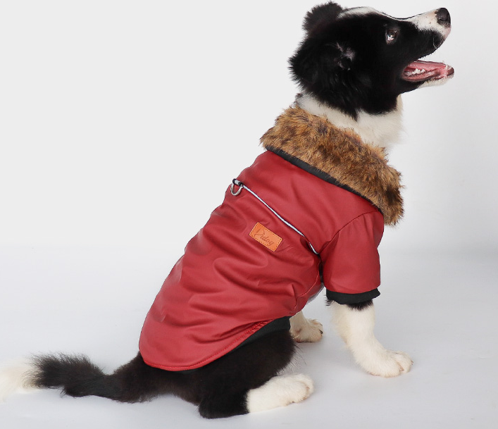 Designer Dog 2 Legged Faux-Leather Jacket with Fur Collar - Charismatic Critters