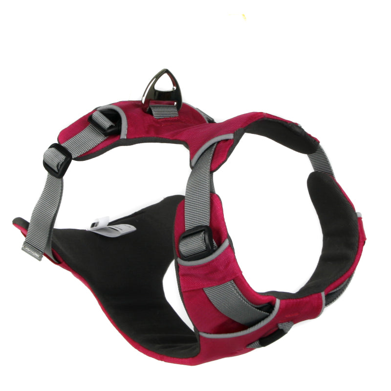 Padded Chest and Back No Pull Dog Harness