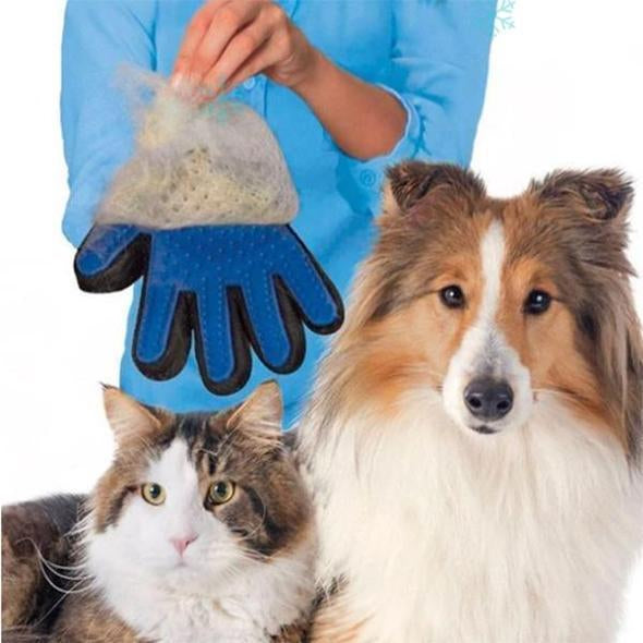 Pet Hair Removal Brush Glove for Dogs and Cats, Charismatic Critters